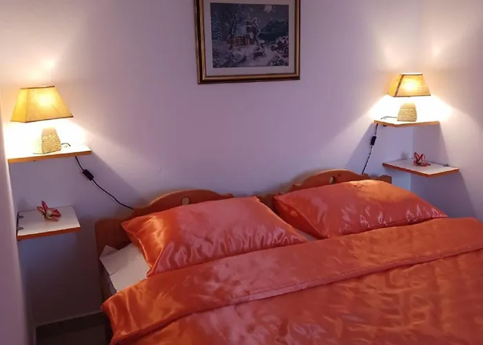 Gostinjska kuća Topic 3*