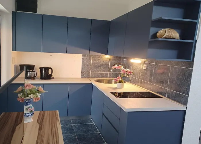 Gostinjska kuća Topic